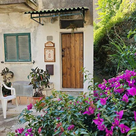 Appartamento Nel Borgo - Casa Del Pellegrino Sulla Via Francigena เอาล์ลา ภายนอก รูปภาพ